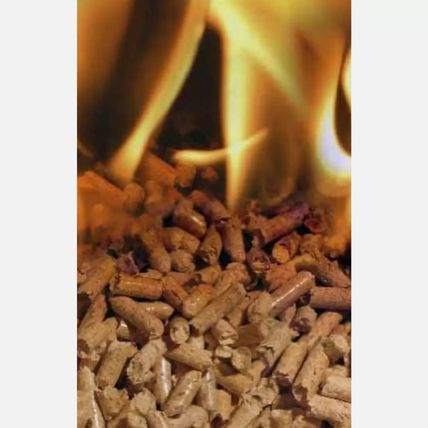 Grill Cup Pelet Yakıtı 15 Kg